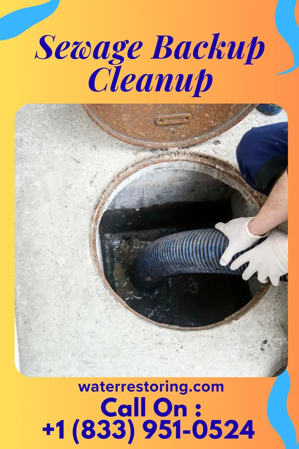 Sewage Backup Cleanup in Gentryville, IN