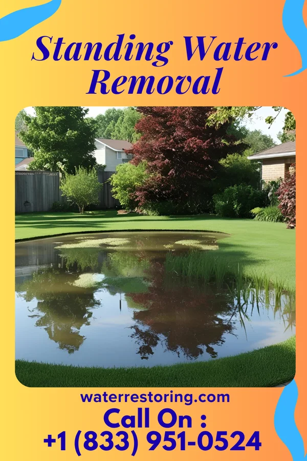 Standing Water Removal in Gentryville, IN